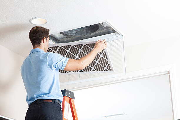 Best HVAC air duct cleaning  in Terra Bella, CA